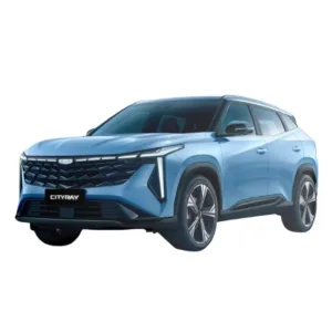 Дизайн без названия cityrai Covorase auto din EVA, Geely Cityray (2026-...)